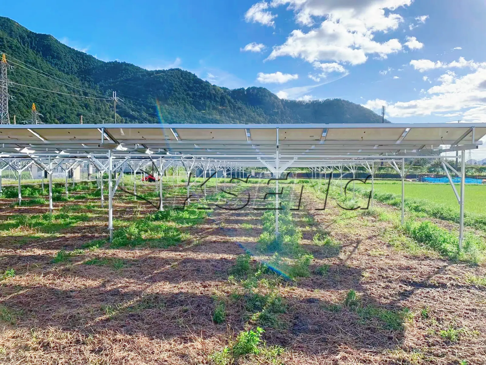 日本丹波农棚光伏支架98.28KW