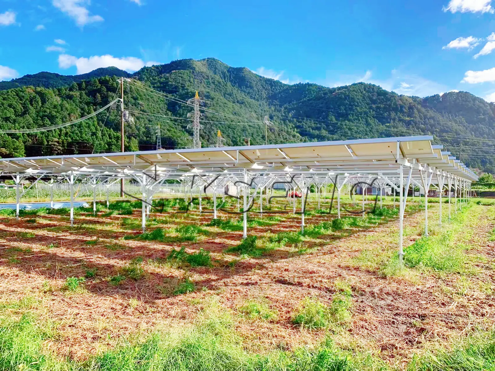 日本丹波农棚光伏支架98.28KW
