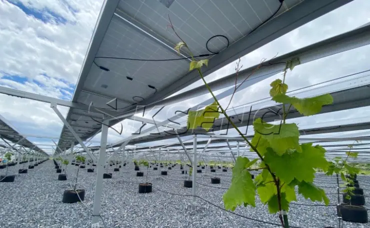 日本地面农棚光伏支架540.21KW