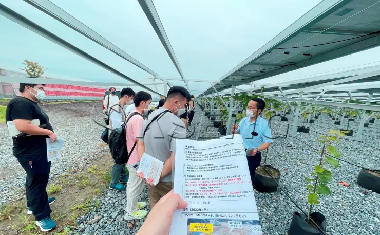 日本地面农棚光伏支架540.21KW