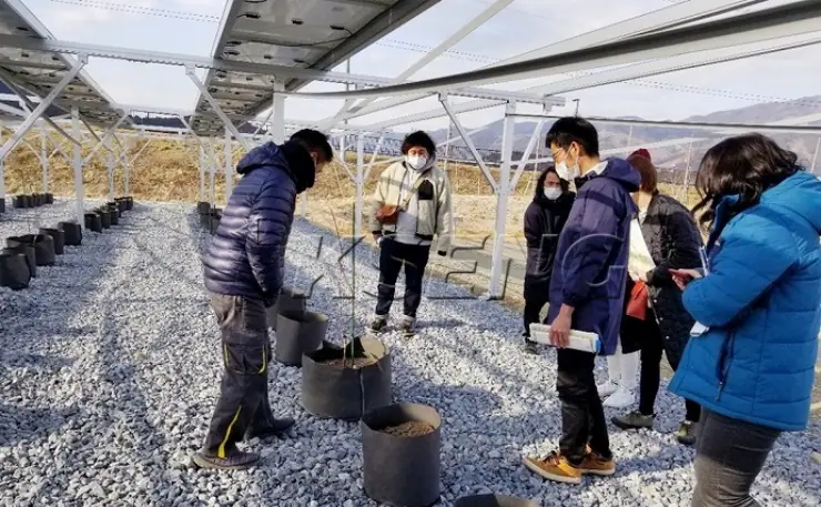 日本地面农棚光伏支架540.21KW