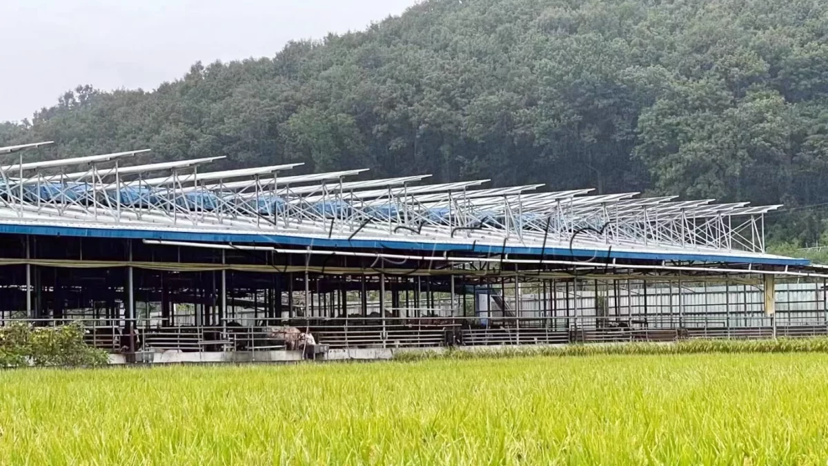 韩国牛棚屋顶光伏支架600KW项目