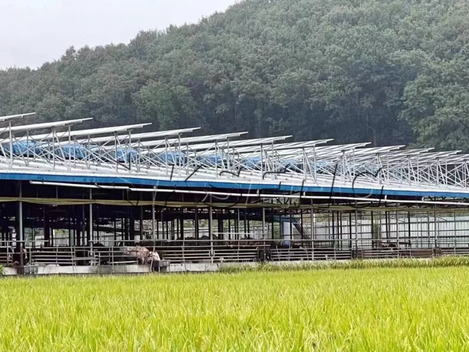 韩国牛棚屋顶光伏支架600KW项目