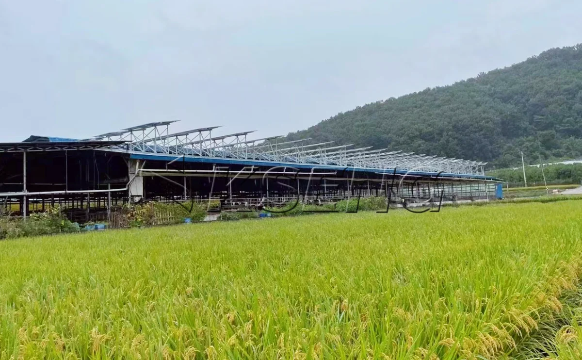 韩国牛棚屋顶光伏支架600KW项目