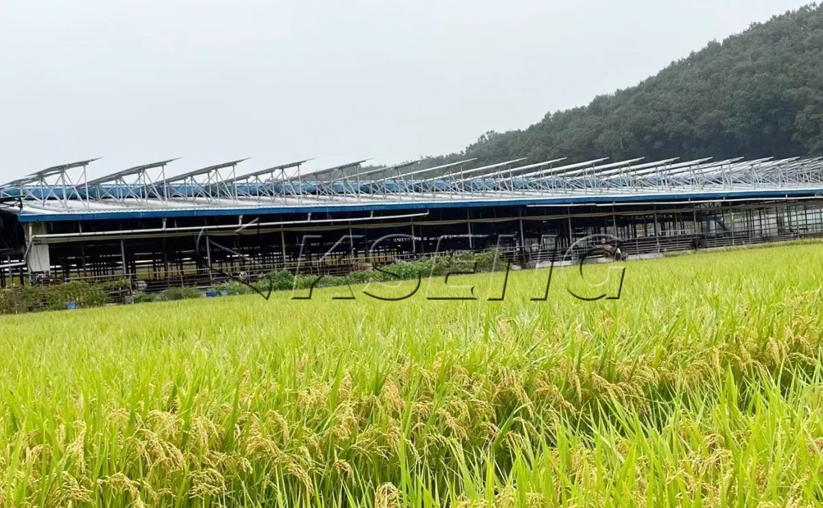韩国牛棚屋顶光伏支架600KW项目