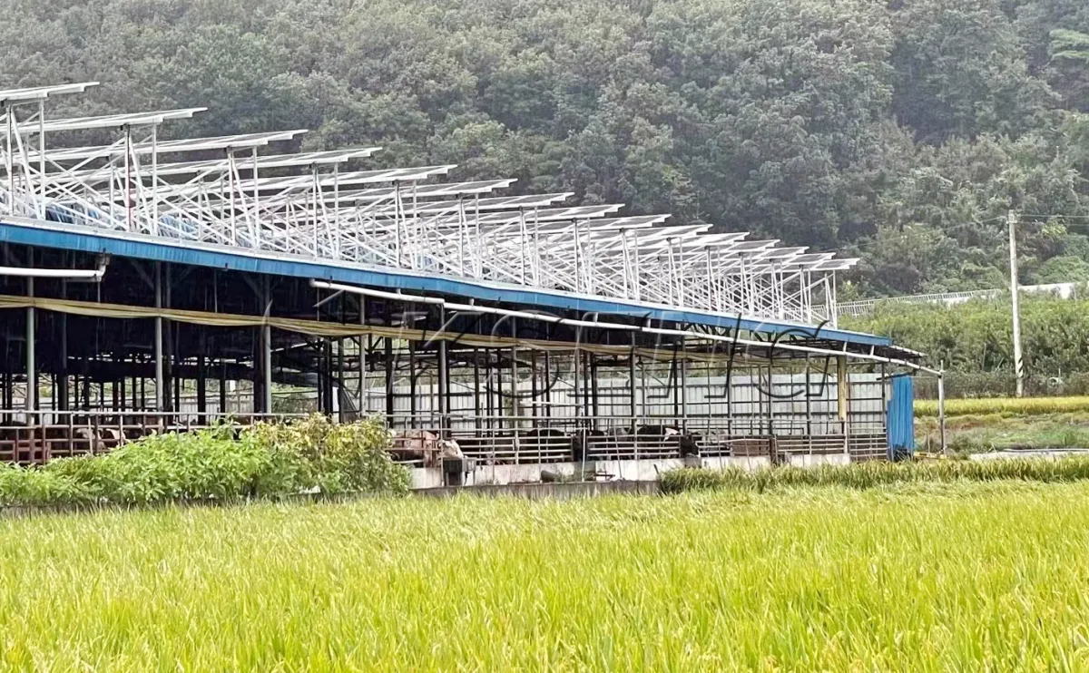 韩国牛棚屋顶光伏支架600KW项目