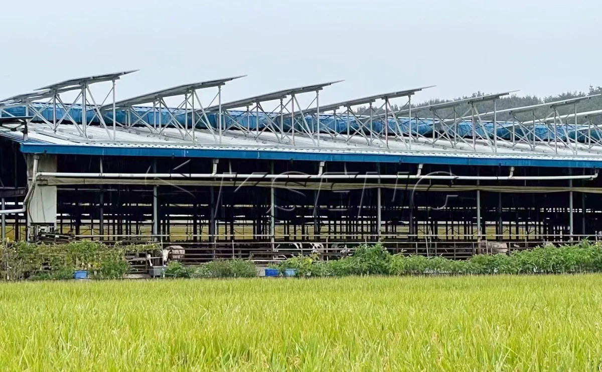 韩国牛棚屋顶光伏支架600KW项目