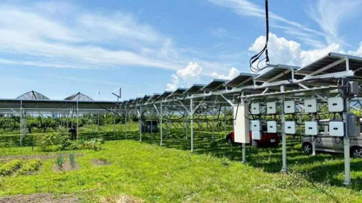 日本山梨县农棚光伏支架393KW项目案例